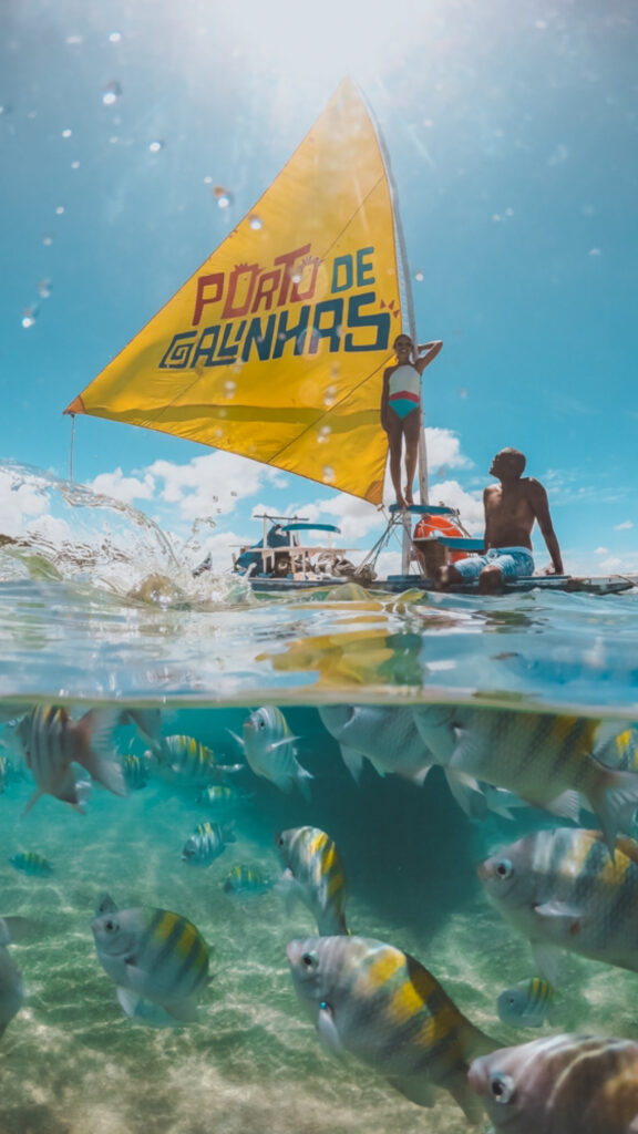 Jangada pelas piscinas naturais de Porto de Galinhas